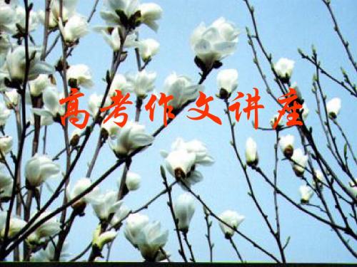 高考作文讲座 PPT课件 2