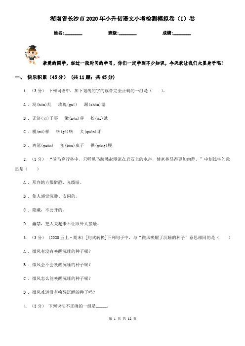 湖南省长沙市2020年小升初语文小考检测模拟卷(I)卷