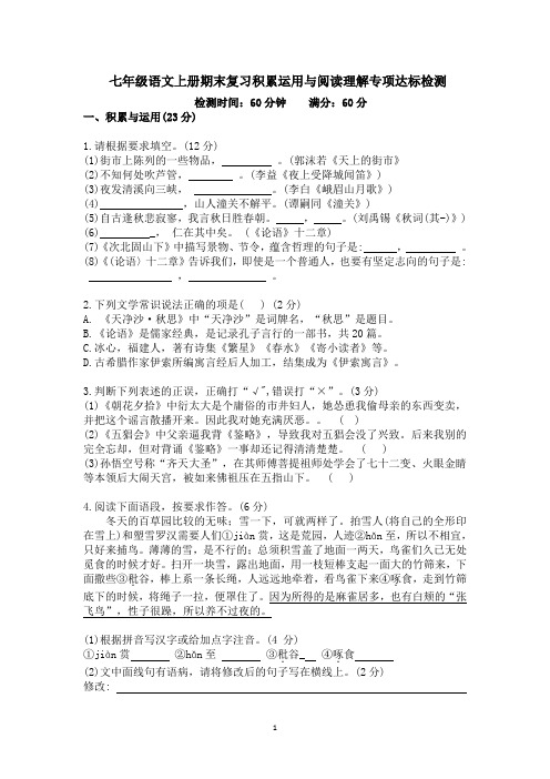 部编版七年级语文上册期末复习积累运用与阅读理解专项达标检测(含答案)
