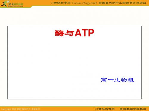 酶与ATP