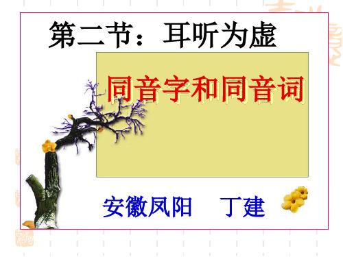 高中语文同音字和同音词ppt2 人教课标版精品课件