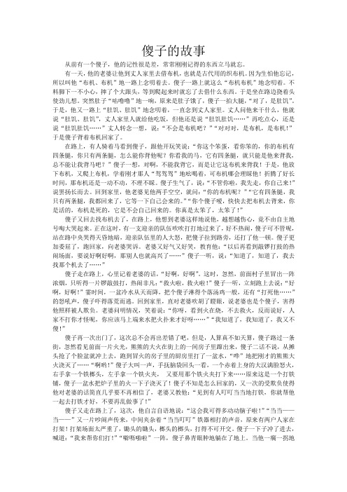 傻子的故事