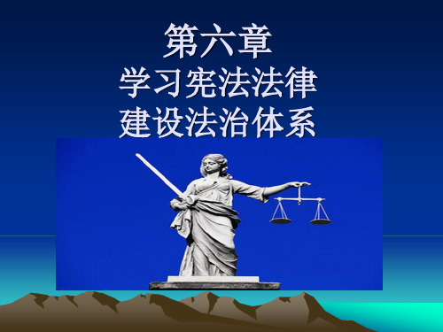 第六章  学习宪法法律  建设法治体系