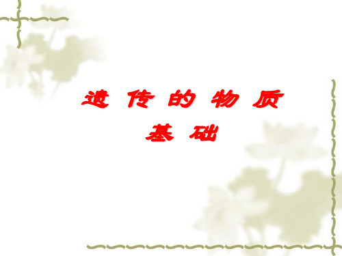 遗传的物质基础(用)