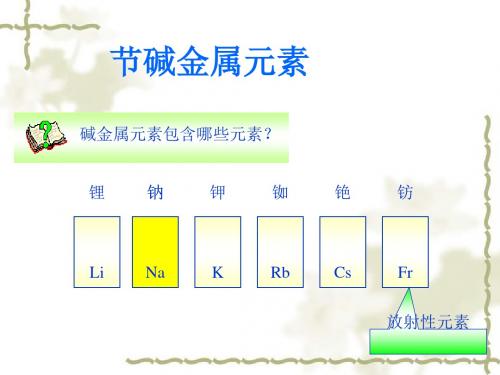 化学课件《碱金属元素》优秀ppt10 人教版