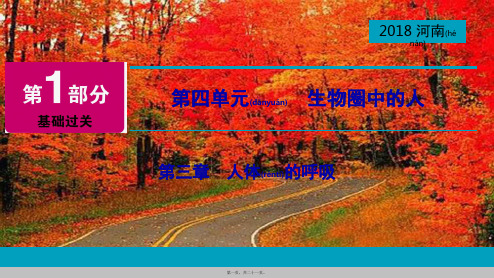 中考生物总复习 第1部分 第4单元 第3章 人体的呼吸课件