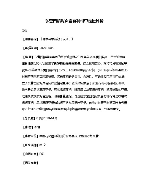 东营凹陷泥页岩有利相带定量评价