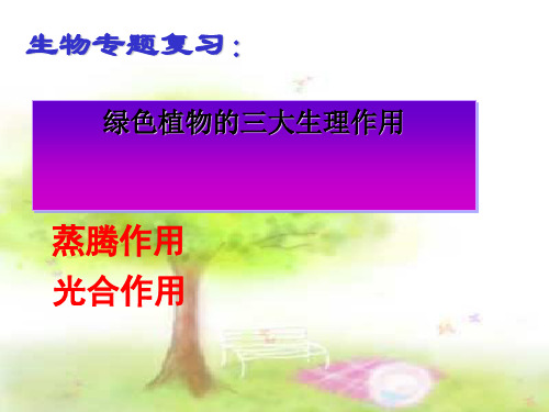 绿色植物三大生理过程