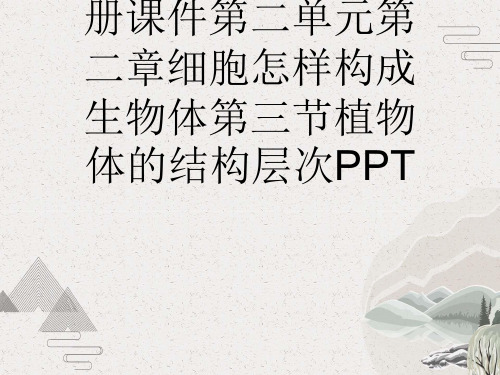 秋人教七级生物上册课件第二单元第二章细胞怎样构成生物体第三节植物体的结构层次PPT
