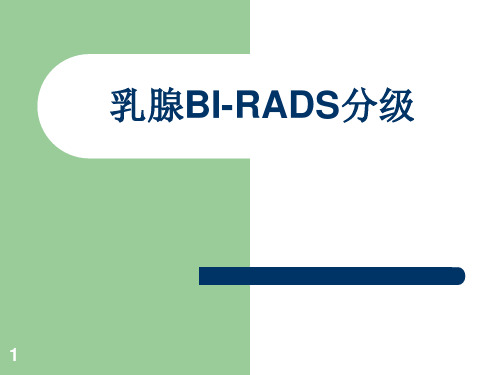 乳腺BI-RADS分级幻灯片课件