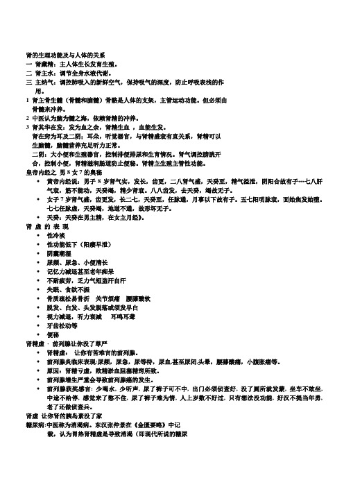 肾的生理功能及与人体的关系