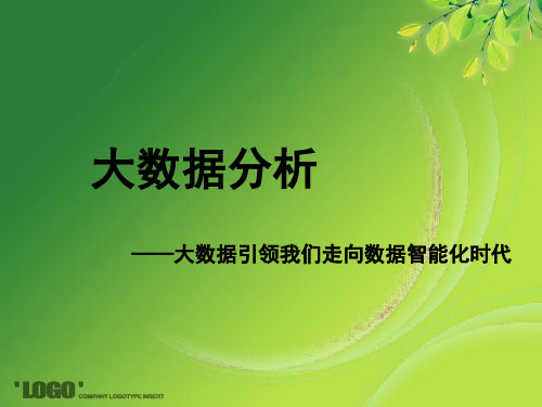 大数据分析pdf