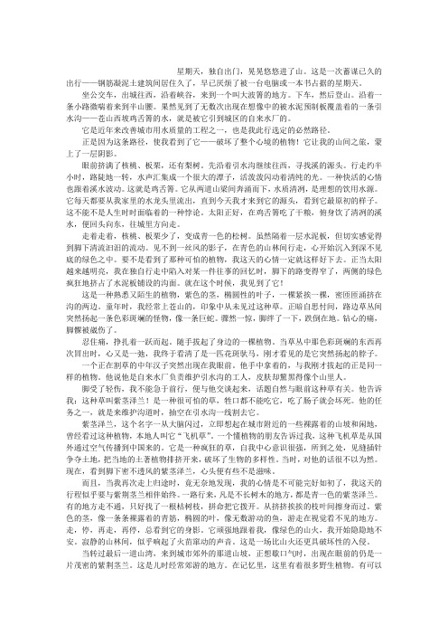 亲眼目睹一种植物的入侵