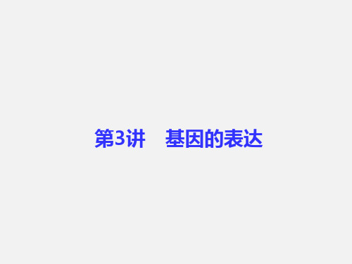 高考生物 一轮复习 第6单元 遗传的物质基础 第3讲 基因的表达