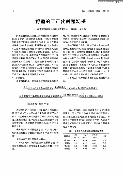 鲟鱼的工厂化养殖初探