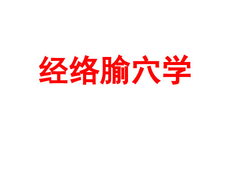 经络腧穴学详解