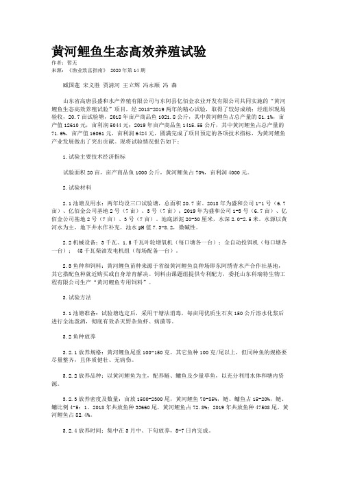 黄河鲤鱼生态高效养殖试验