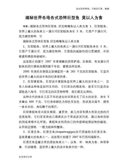 揭秘世界各地各式恐怖巨型鱼 竟以人为食