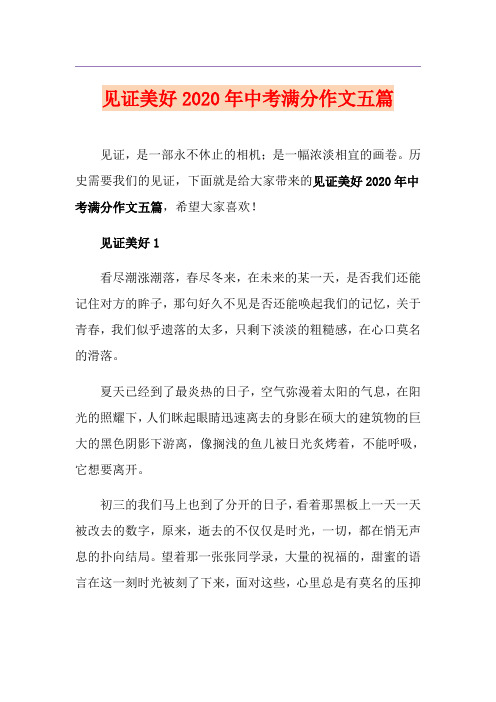 见证美好中考满分作文五篇