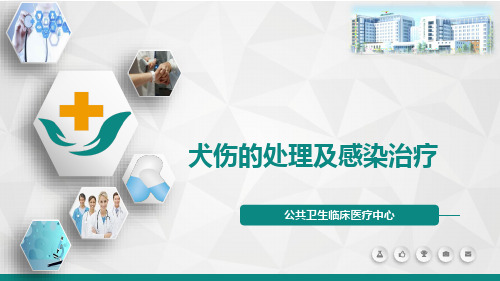 犬伤的处理及感染治疗PPT课件