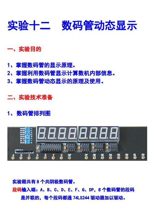 实验十二 数码管动态显示实验