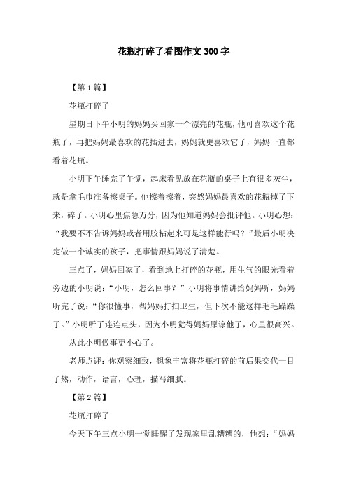 花瓶打碎了看图作文300字