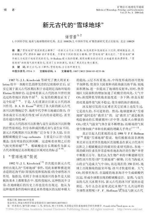 新元古代的_雪球地球_储雪蕾