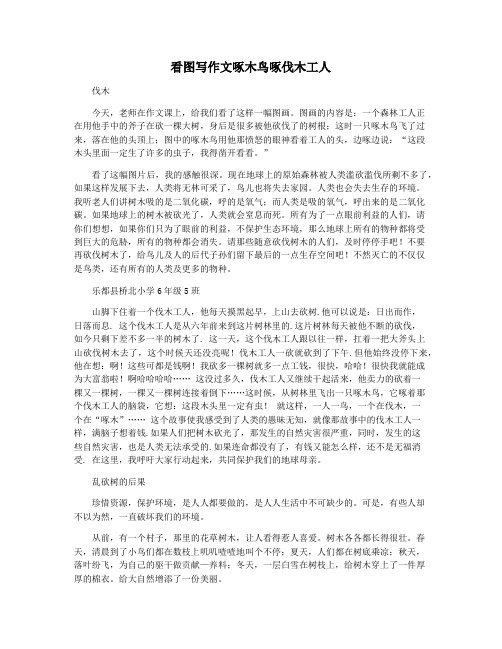 看图写作文啄木鸟啄伐木工人