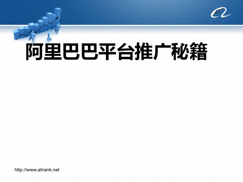 阿里巴巴英文版国际站平台推广秘籍-点石成金