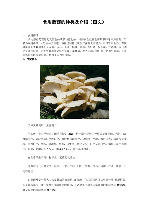 食用蘑菇的种类及图文介绍附几种常见的食用菌的主要营养成分