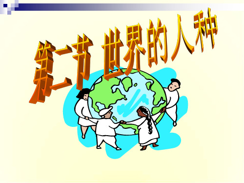 世界的人种 课件