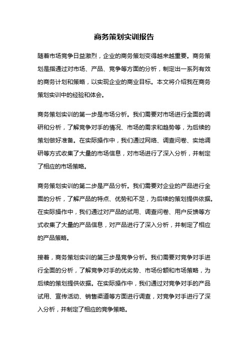 商务策划实训报告