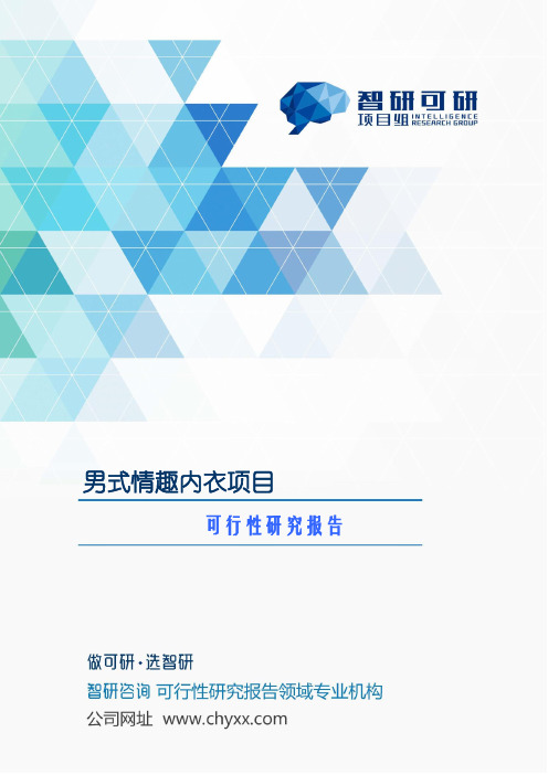 男式情趣内衣项目可行性研究报告