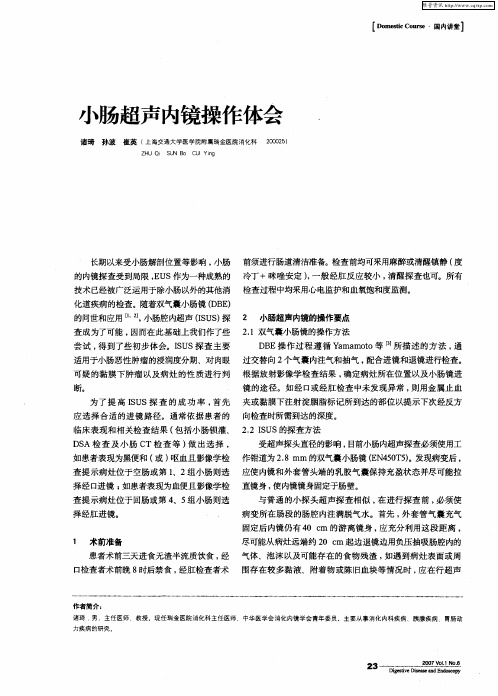小肠超声内镜操作体会