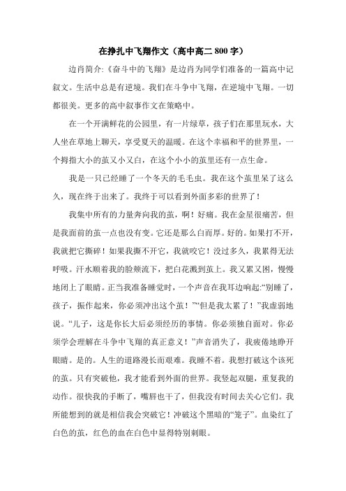 在挣扎中飞翔作文(高中高二800字)_0.doc