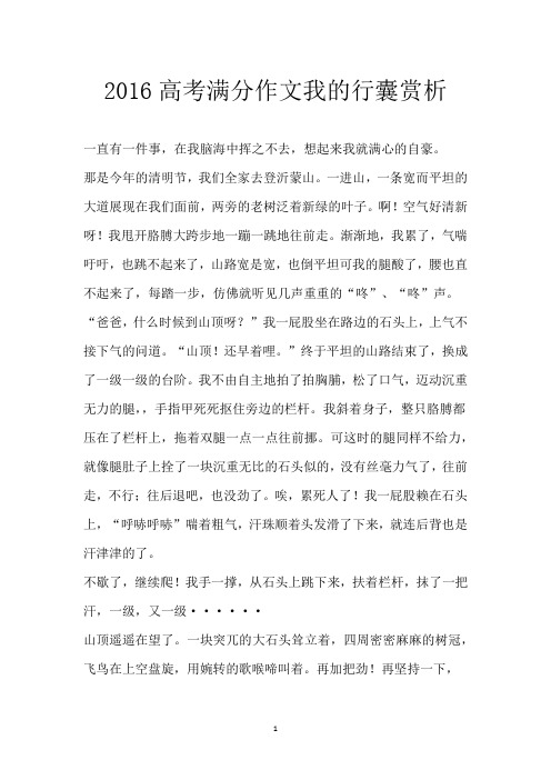 2016高考满分作文我的行囊赏析