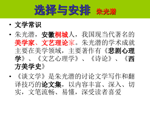 选择与安排 朱光潜概要
