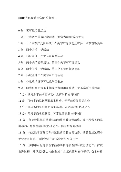 BBB(大鼠脊髓损伤)评分标准