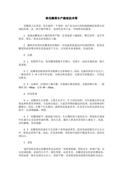 春花椰菜丰产栽培技术等