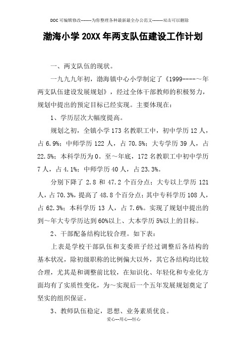 小学20XX年两支队伍建设工作计划