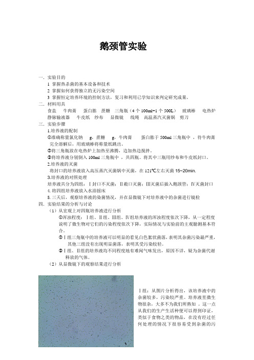鹅颈管实验.doc