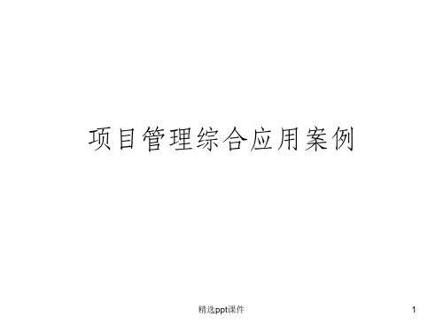 项目管理综合应用案例