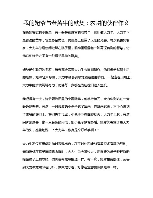 我的姥爷与老黄牛的默契：农耕的伙伴作文