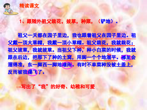 六年级语文下册课件12我和祖父的园子_教科版 (共21张PPT)