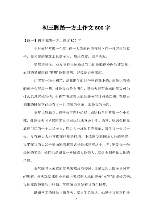 初三脚踏一方土作文800字