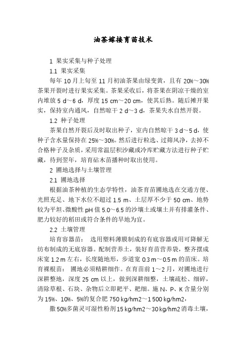 油茶嫁接育苗技术