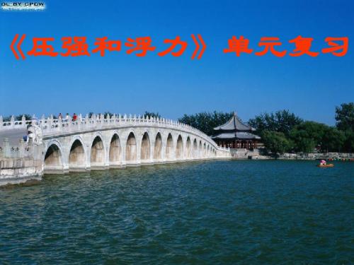 7《压强和浮力复习课》(初中 九年级 物理课件)