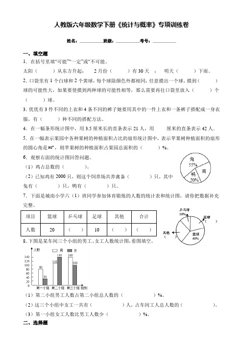 (最新)人教版六年级数学下册《统计与概率》专项训练卷(附解析)