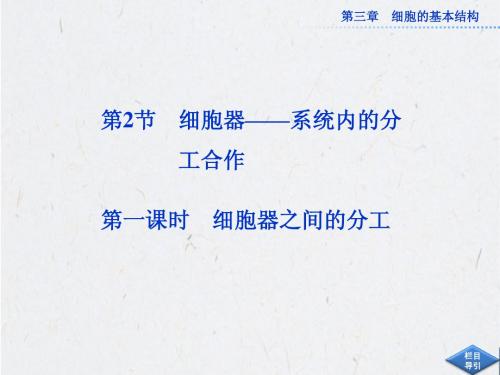 2013年人教版生物必修1全册精品课件 第三章 第2节 第一课时