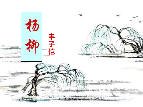 2021完整版《杨柳》PPT课件2